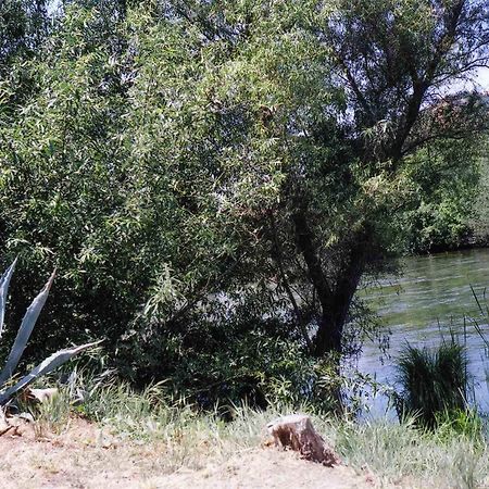 Sequoia Riverfront Cabins Three Rivers Εξωτερικό φωτογραφία