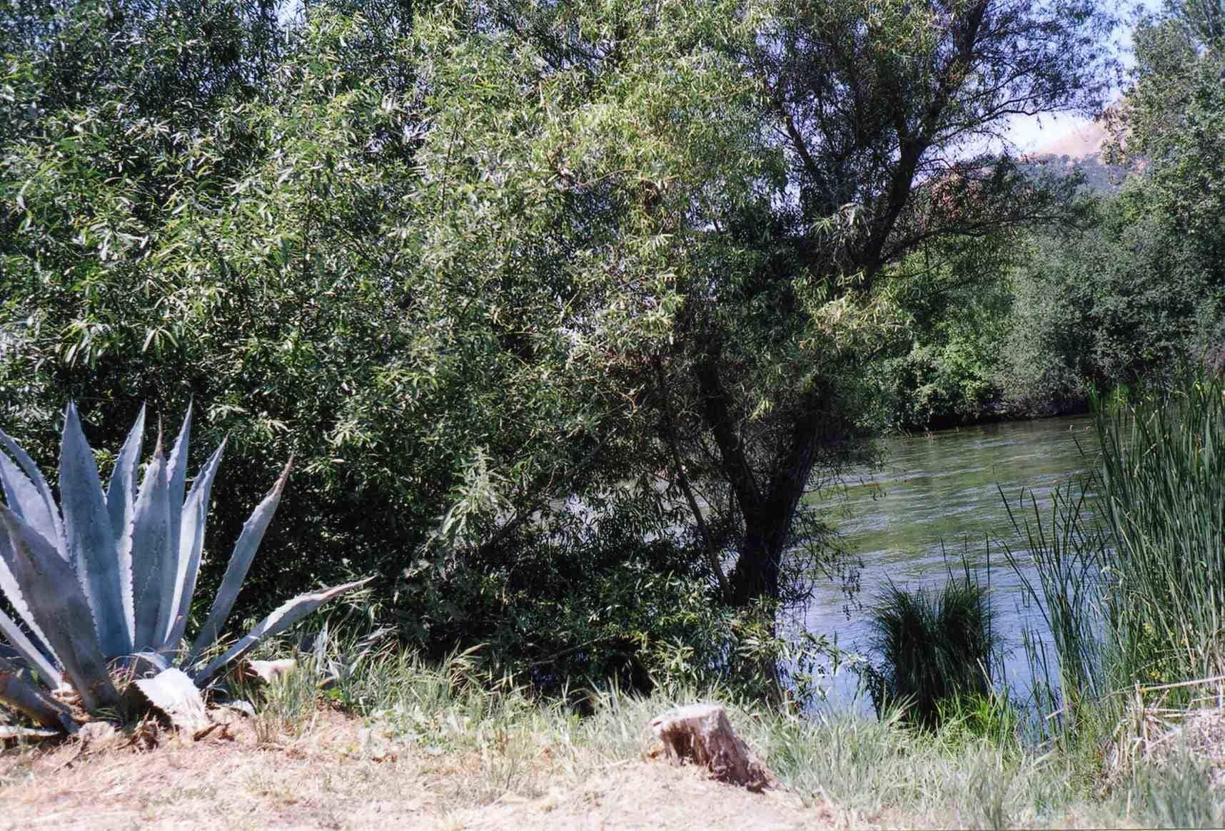 Sequoia Riverfront Cabins Three Rivers Εξωτερικό φωτογραφία