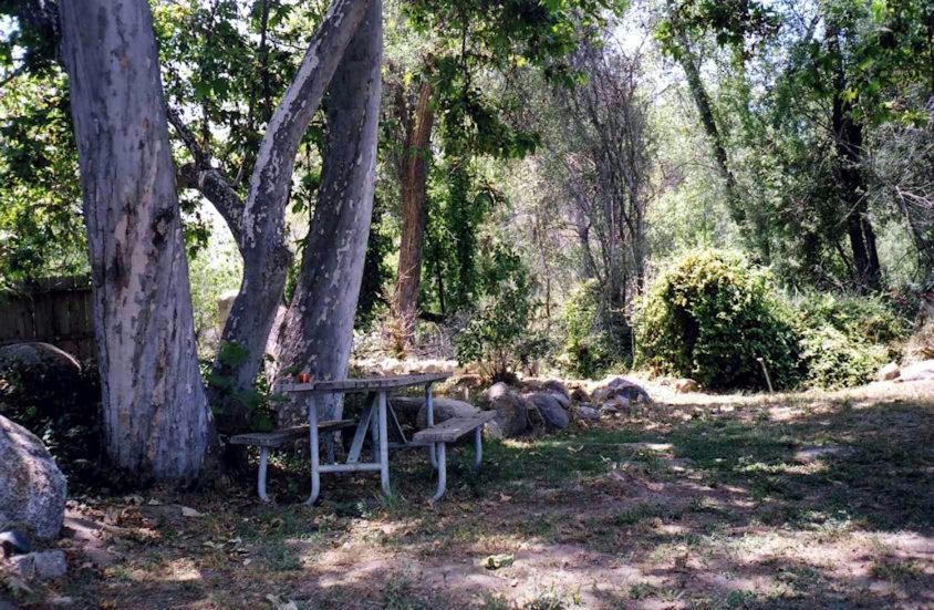 Sequoia Riverfront Cabins Three Rivers Δωμάτιο φωτογραφία